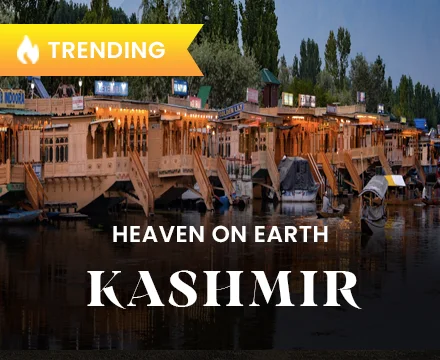 kashmir tour & Travel packages