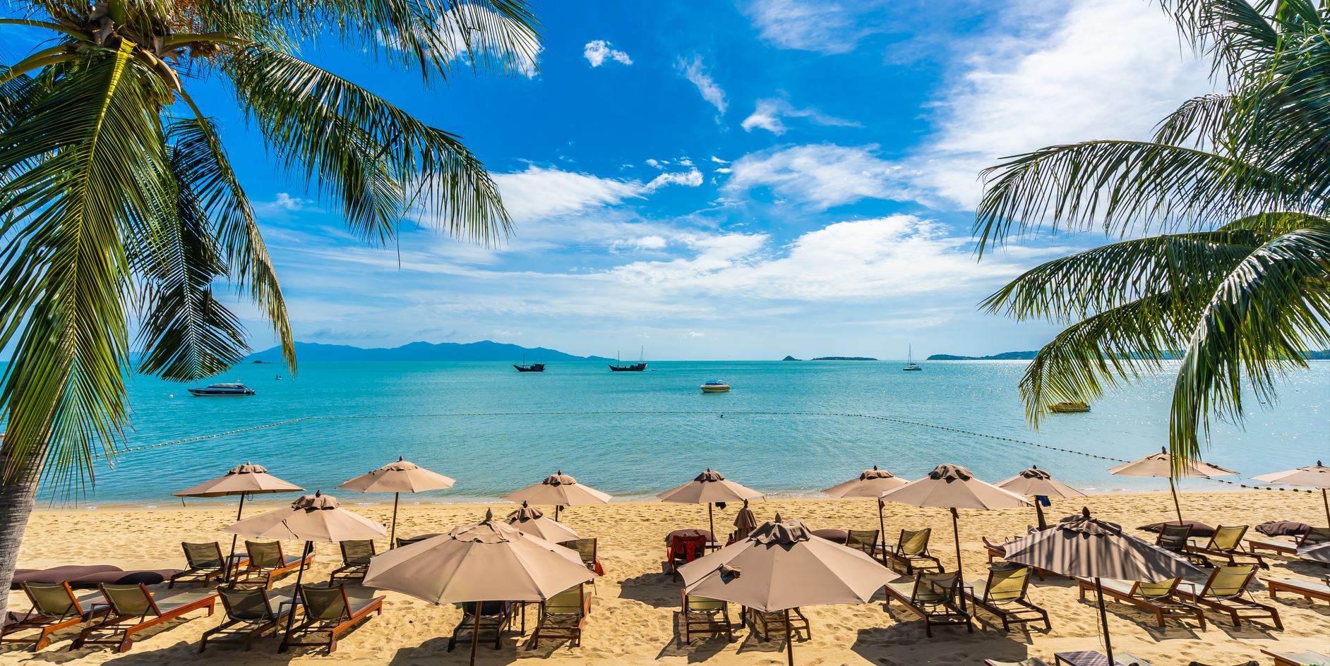 Sun, Sand & Serenity – Goa